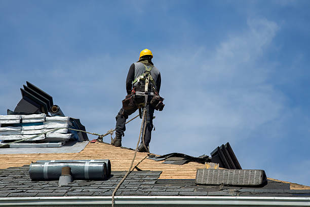 Professional Gutter Installation technician working in Roundhill, KY